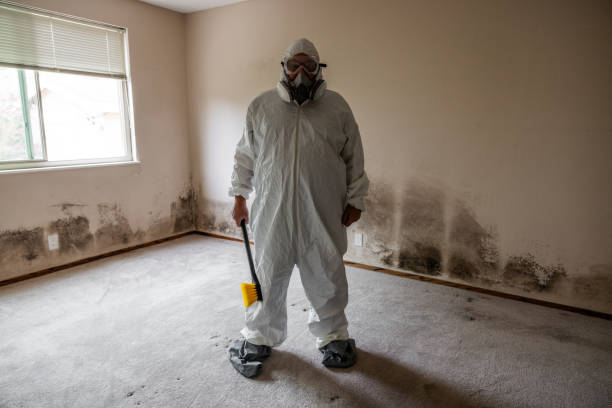 Best Mold Testing and Inspection Services in Shawnee, KS
